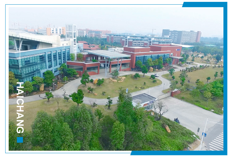 鸿运国际